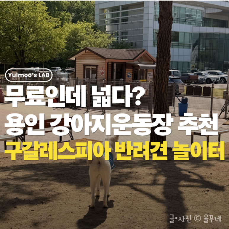 강아지 용인 기흥구 강아지 운동장, 구갈레스피아 반려견 놀이터 후기