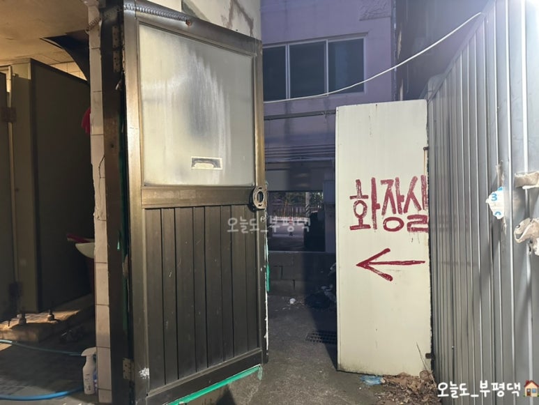 짱어 사진 6