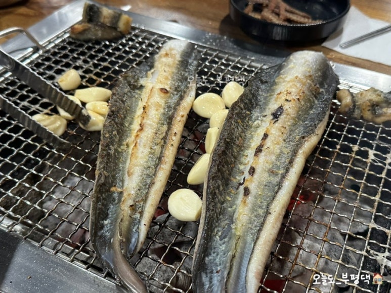 짱어 사진 7