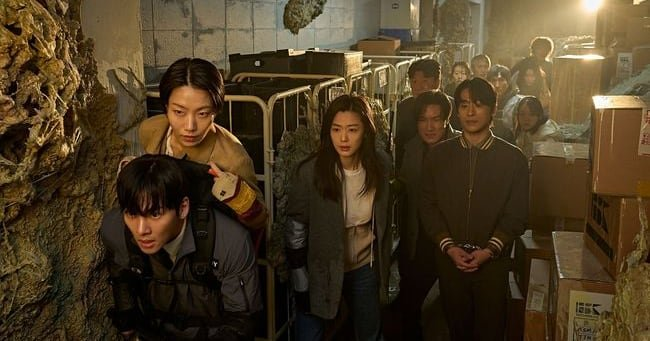 전지현 구교환 군체 좀비물 탄생 요즘 다시 관심이 커진 이유 이미지 5