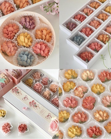 프시케 대표 사진