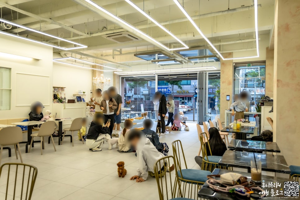 강남 애견카페 더왈츠 앤 조이피아, 특별한 실내 데이트 코스 — 사진 2