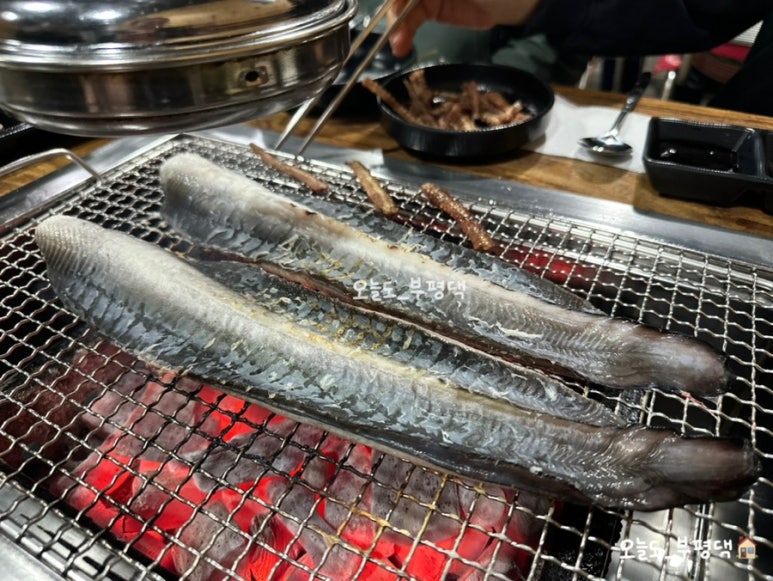 짱어 사진 8