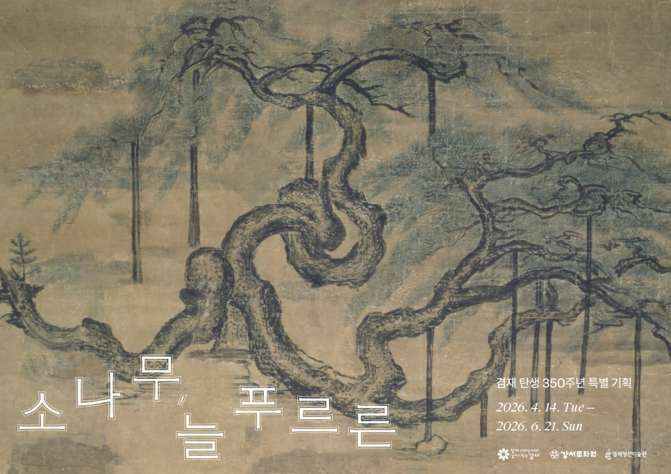 브로콜리 지역정보 관련 사진 12