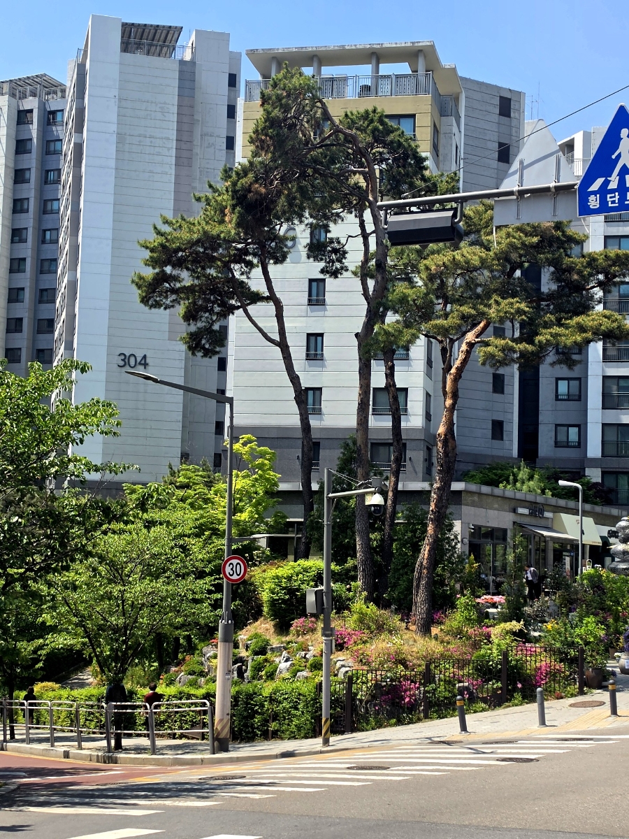 해빔 광화문점 사진 5