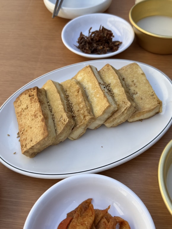 느티나무 사진 6