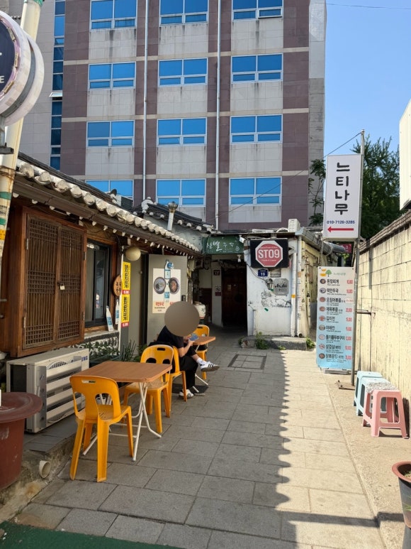 느티나무 사진 2