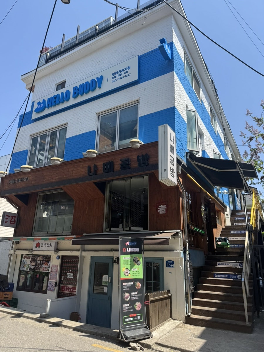 홍대 애견호텔 헬로우버디, 강아지 유치원 비용 및 후기 — 사진 2