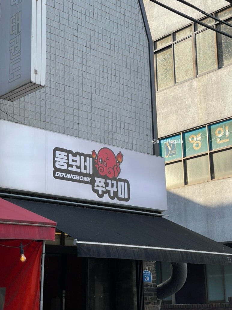뚱보네쭈꾸미 사진 8
