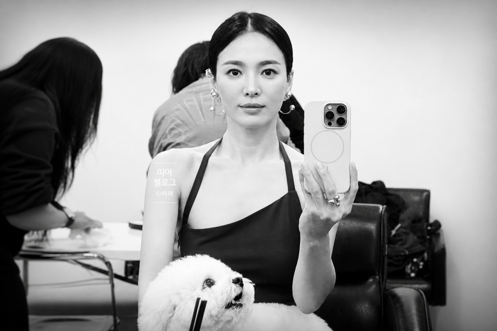 송혜교 강아지 부러운 화보 순간 품에 쏙 안긴 반려견과 독보적 투샷 포착 영상 하나로 반응 쏟아졌다 이미지 6