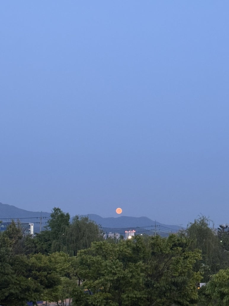 봉추찜닭 강남구청역점 사진 8