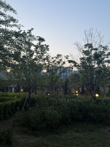 봉추찜닭 강남구청역점 사진 5