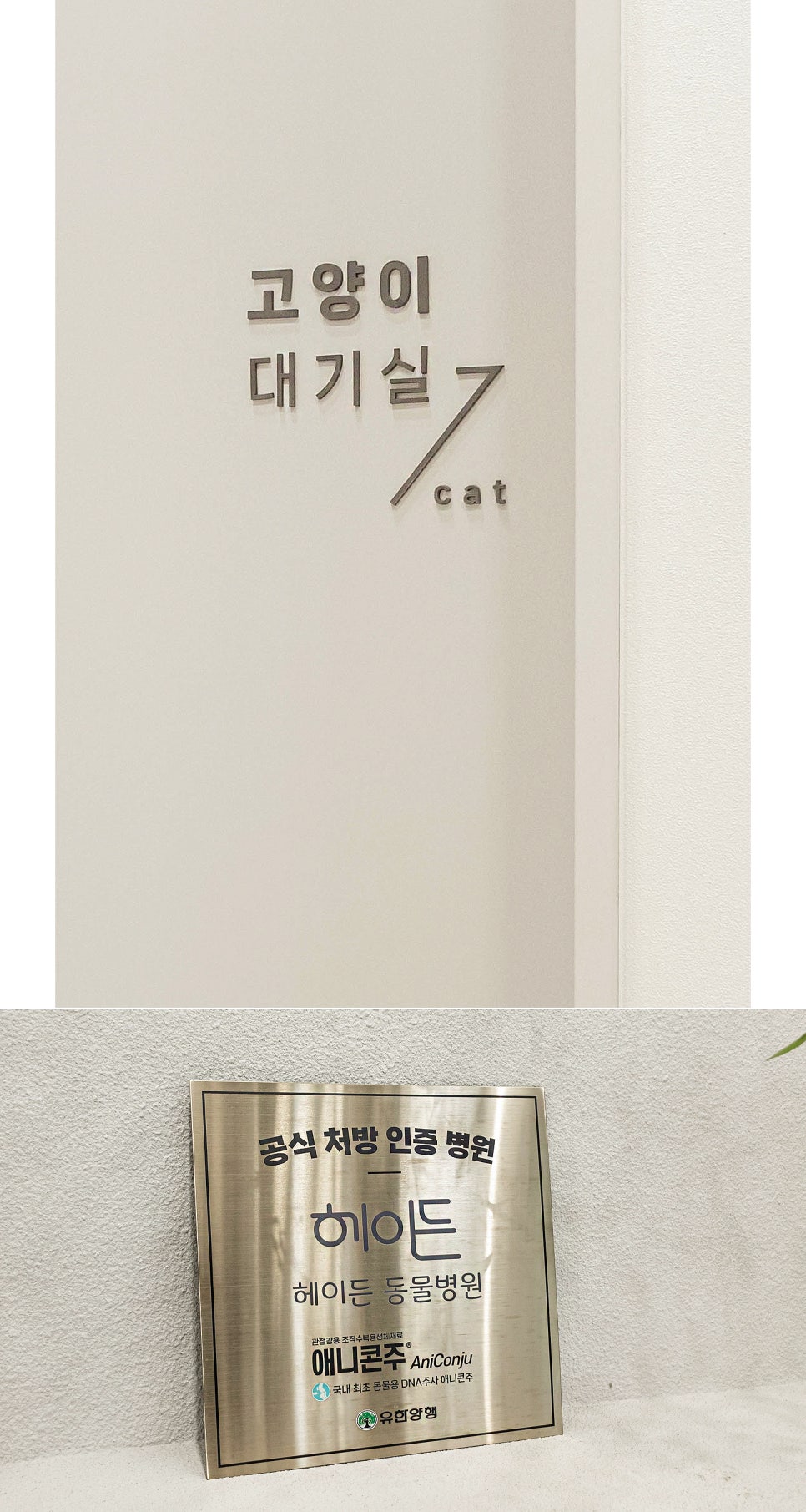 강아지 펫소좀 2회차 후기: 헤이든동물병원 엑소좀 주사 변화 — 사진 10