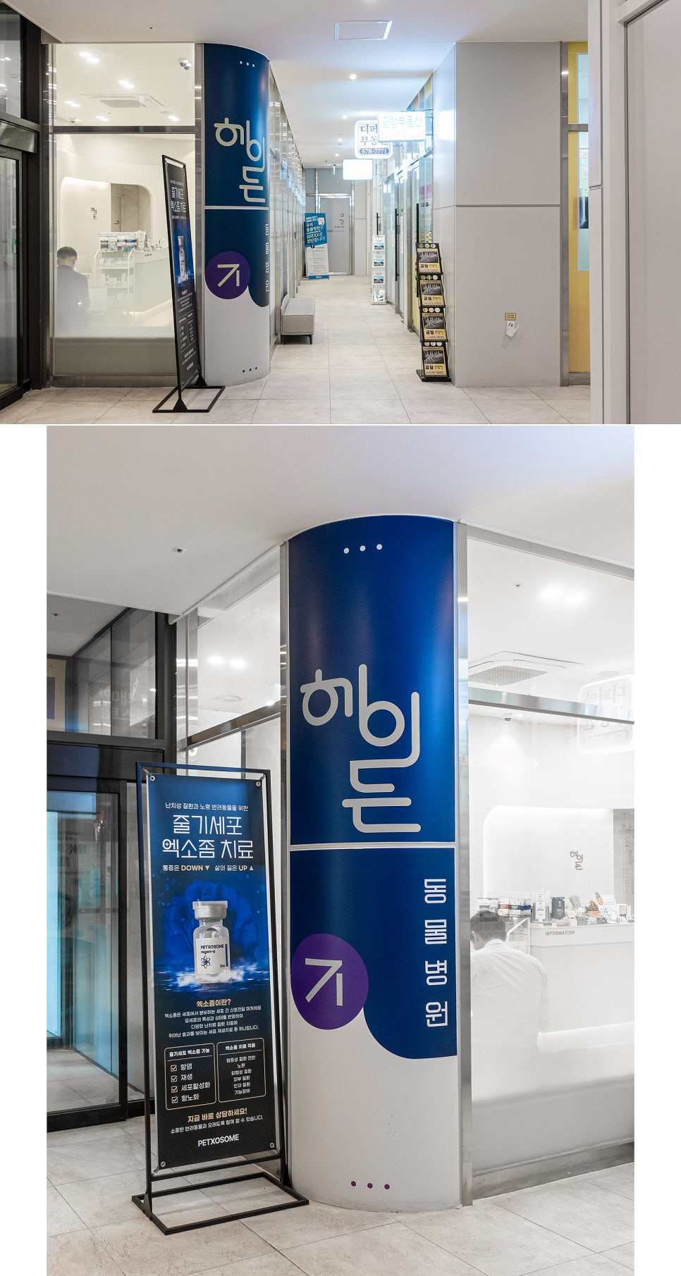 강아지 펫소좀 2회차 후기: 헤이든동물병원 엑소좀 주사 변화 — 사진 5