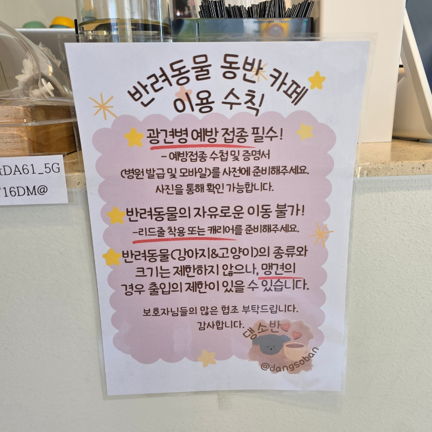 부천 애견동반 카페 댕소반: 강아지 수제간식과 함께하는 즐거운 시간 — 사진 5