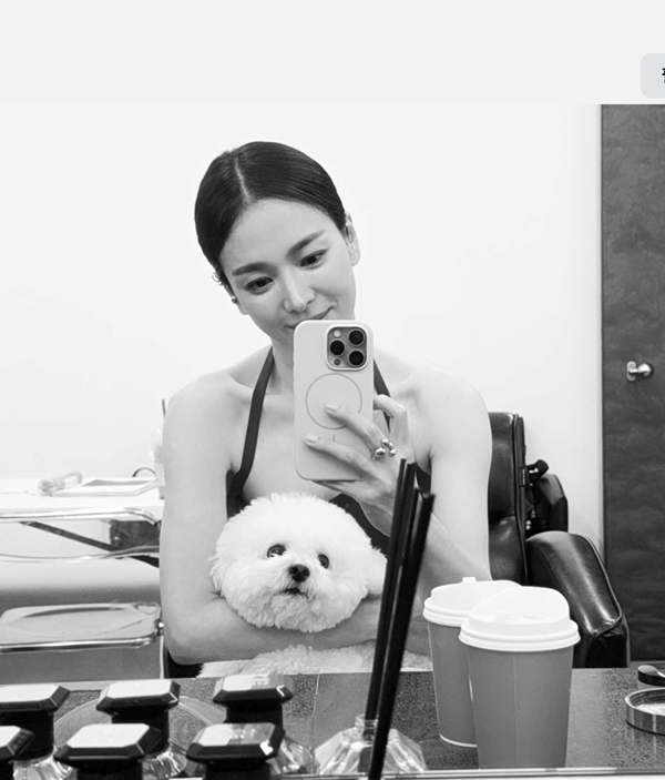 송혜교 강아지 부러운 화보 순간 품에 쏙 안긴 반려견과 독보적 투샷 포착 영상 하나로 반응 쏟아졌다 이미지 3