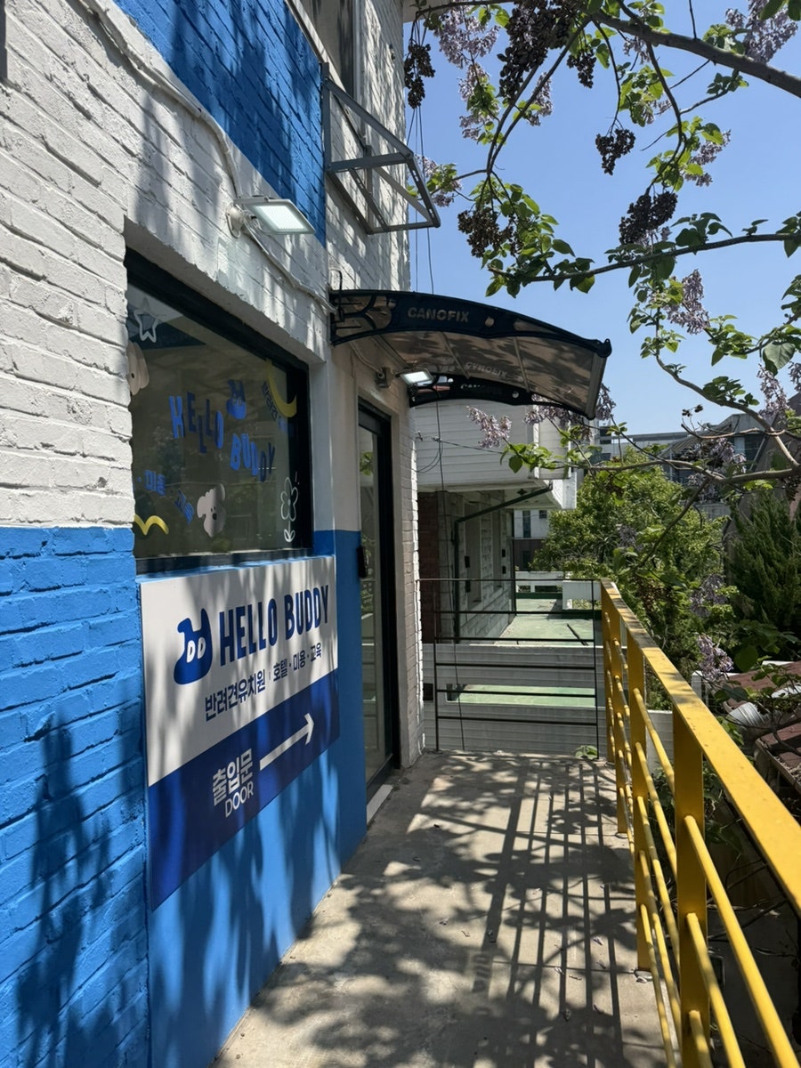 홍대 애견호텔 헬로우버디, 강아지 유치원 비용 및 후기 — 사진 5