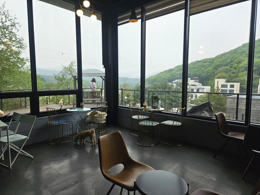 용인 별똥구리 애견카페: 멋진 뷰와 식사, 합리적 가격 — 사진 12