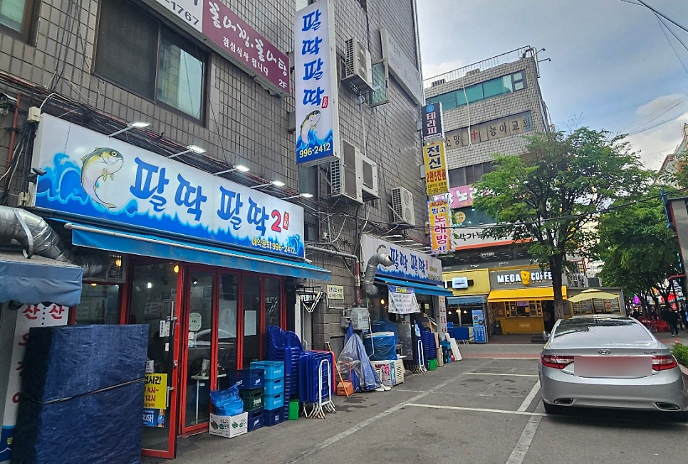 팔딱팔딱 사진 7