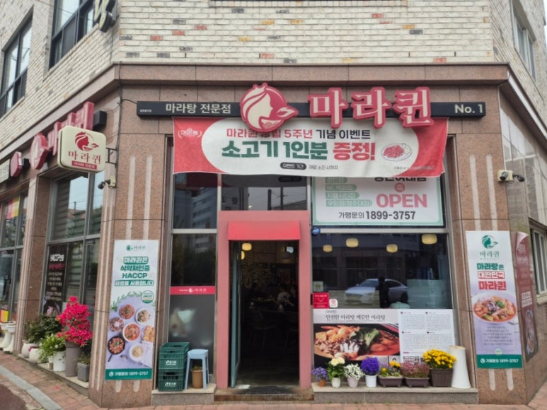 마라퀸 사진