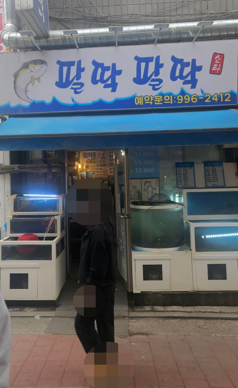 팔딱팔딱 사진 8