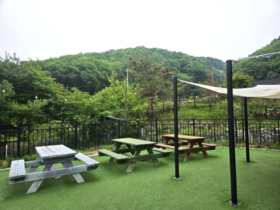 용인 별똥구리 애견카페: 멋진 뷰와 식사, 합리적 가격 — 사진 15