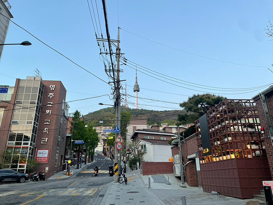 왕노가리 사진 7