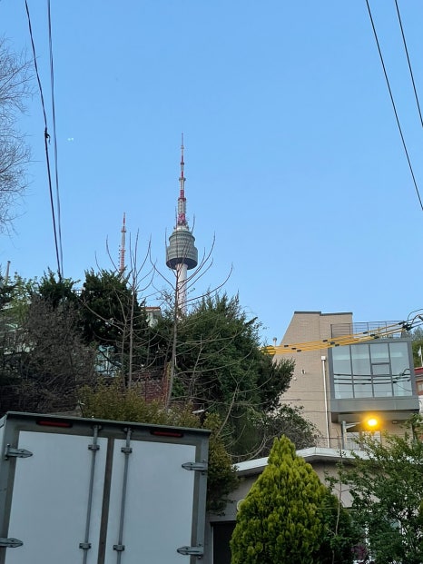 왕노가리 사진 5
