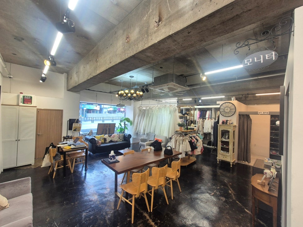 부산 애견동반 사진관 캣독, 강아지 프로필 촬영 후기 — 사진 16