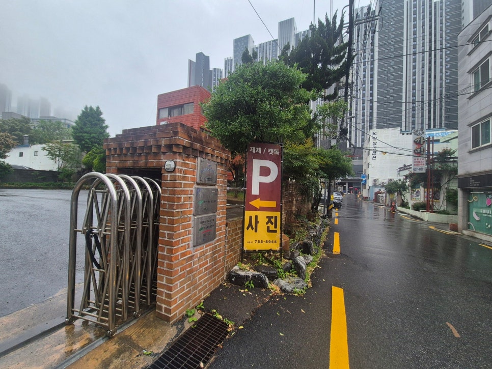 부산 애견동반 사진관 캣독, 강아지 프로필 촬영 후기 — 사진 3
