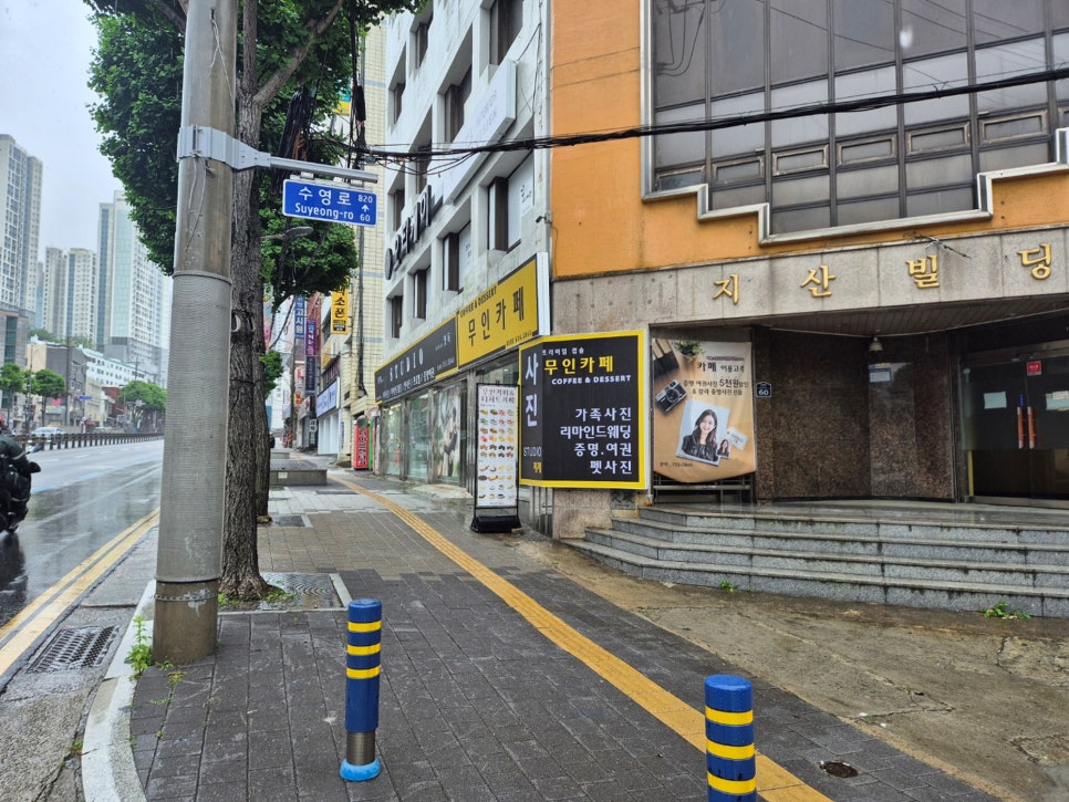 부산 애견동반 사진관 캣독, 강아지 프로필 촬영 후기 — 사진 2