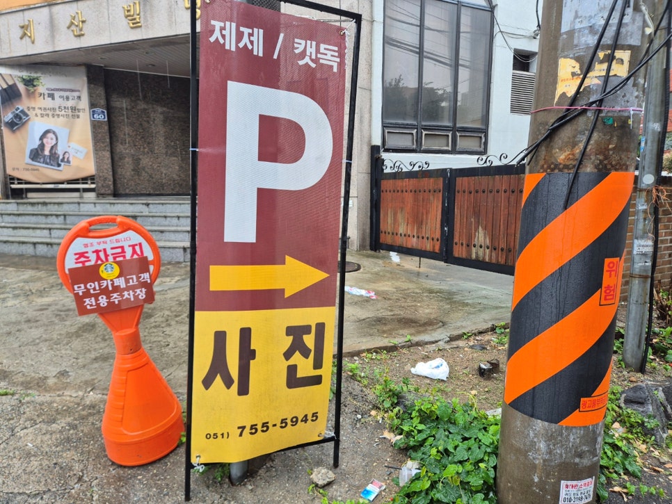 부산 애견동반 사진관 캣독, 강아지 프로필 촬영 후기