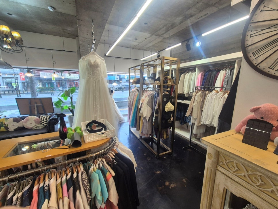 부산 애견동반 사진관 캣독, 강아지 프로필 촬영 후기 — 사진 15