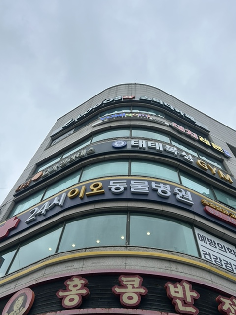 안양 이오동물병원: 고양이 건강검진 및 수술 후기 — 사진 2