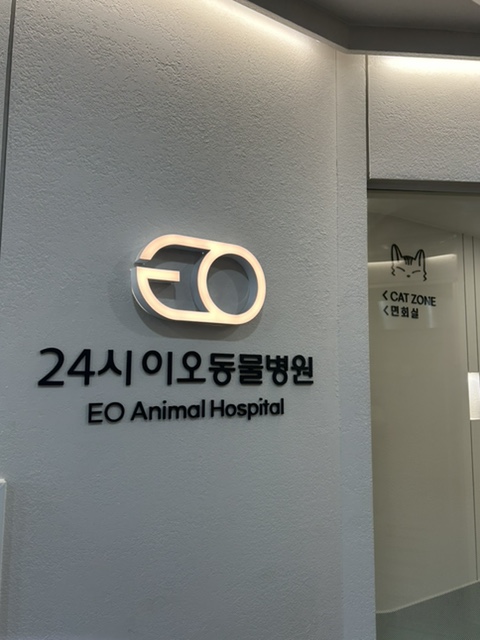 안양 이오동물병원: 고양이 건강검진 및 수술 후기 — 사진 3