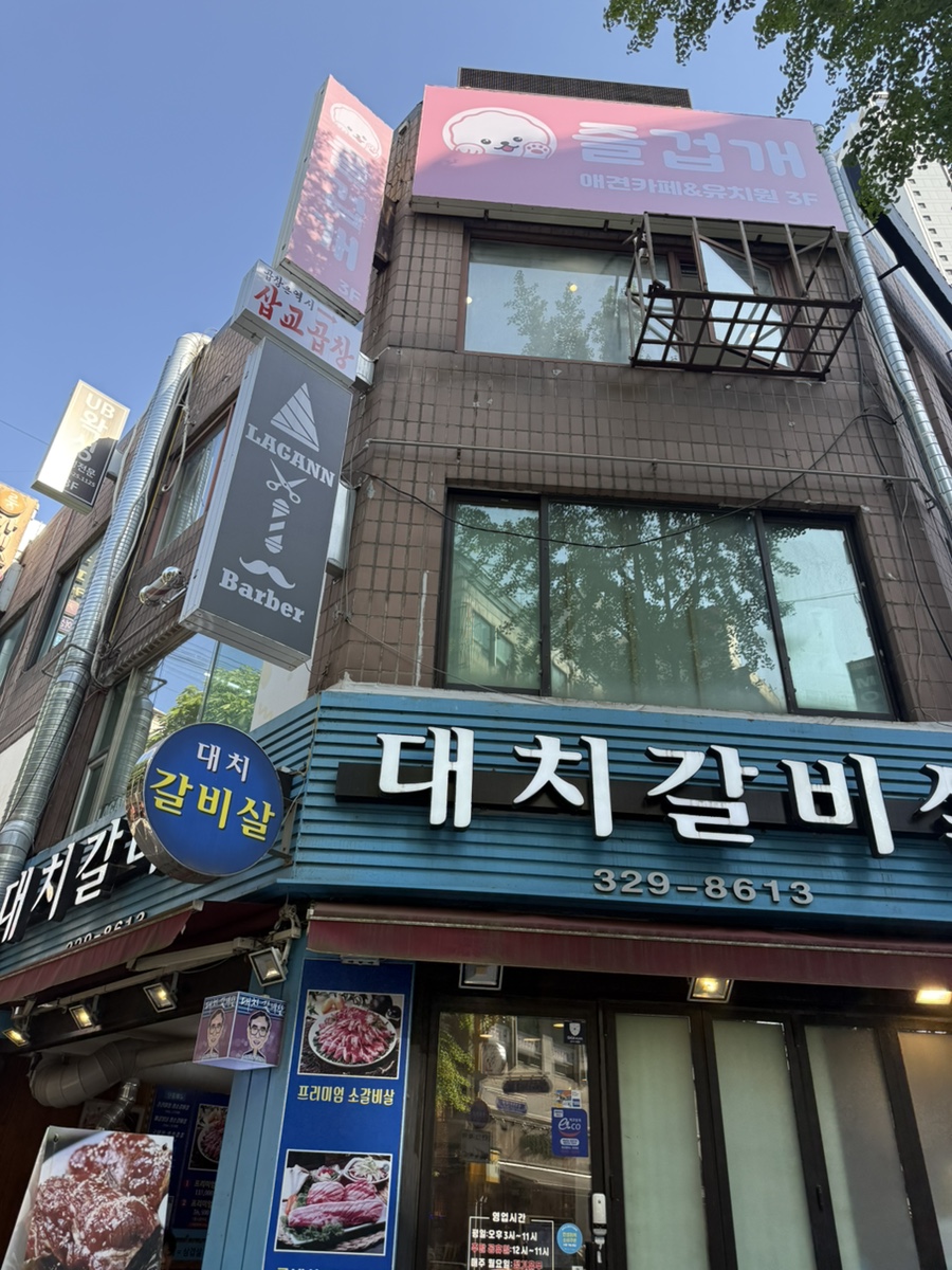 부천 애견카페 즐겁개, 상주견과 함께한 후기