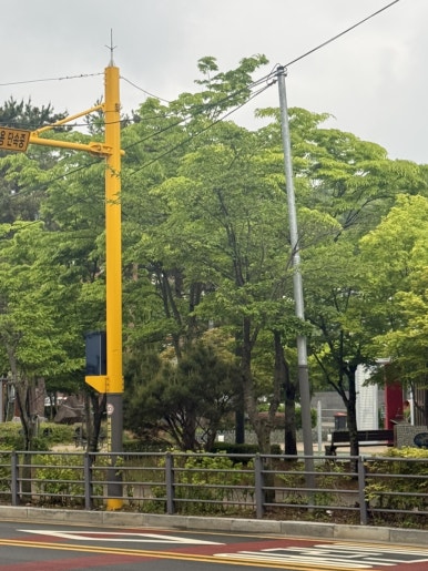 봉추찜닭 강남구청역점 사진 4
