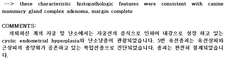 남양주 24시 위드힐 강아지 유선종양 수술 후기 — 사진 7