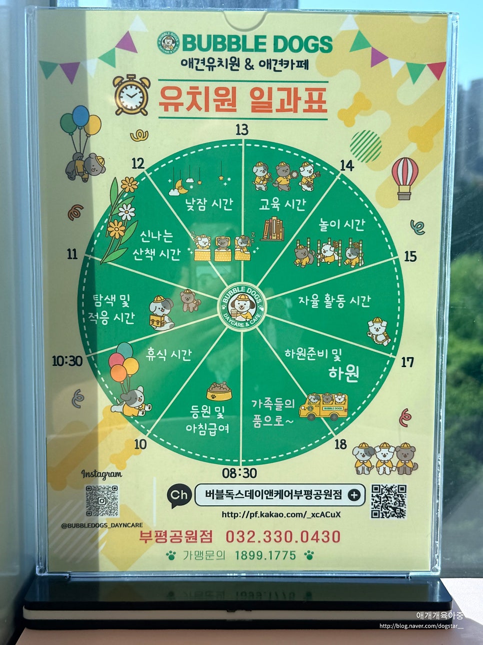 인천 셀프 애견 목욕 24시간 버블독스 이용 후기 — 사진 6