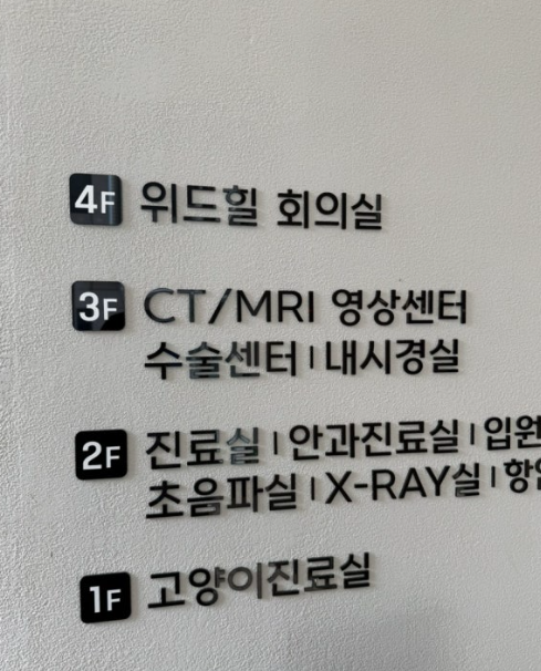 남양주 24시 위드힐 강아지 유선종양 수술 후기 — 사진 2