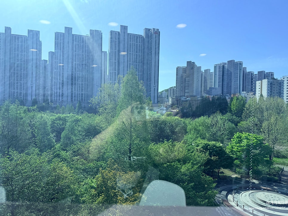 인천 셀프 애견 목욕 24시간 버블독스 이용 후기 — 사진 3