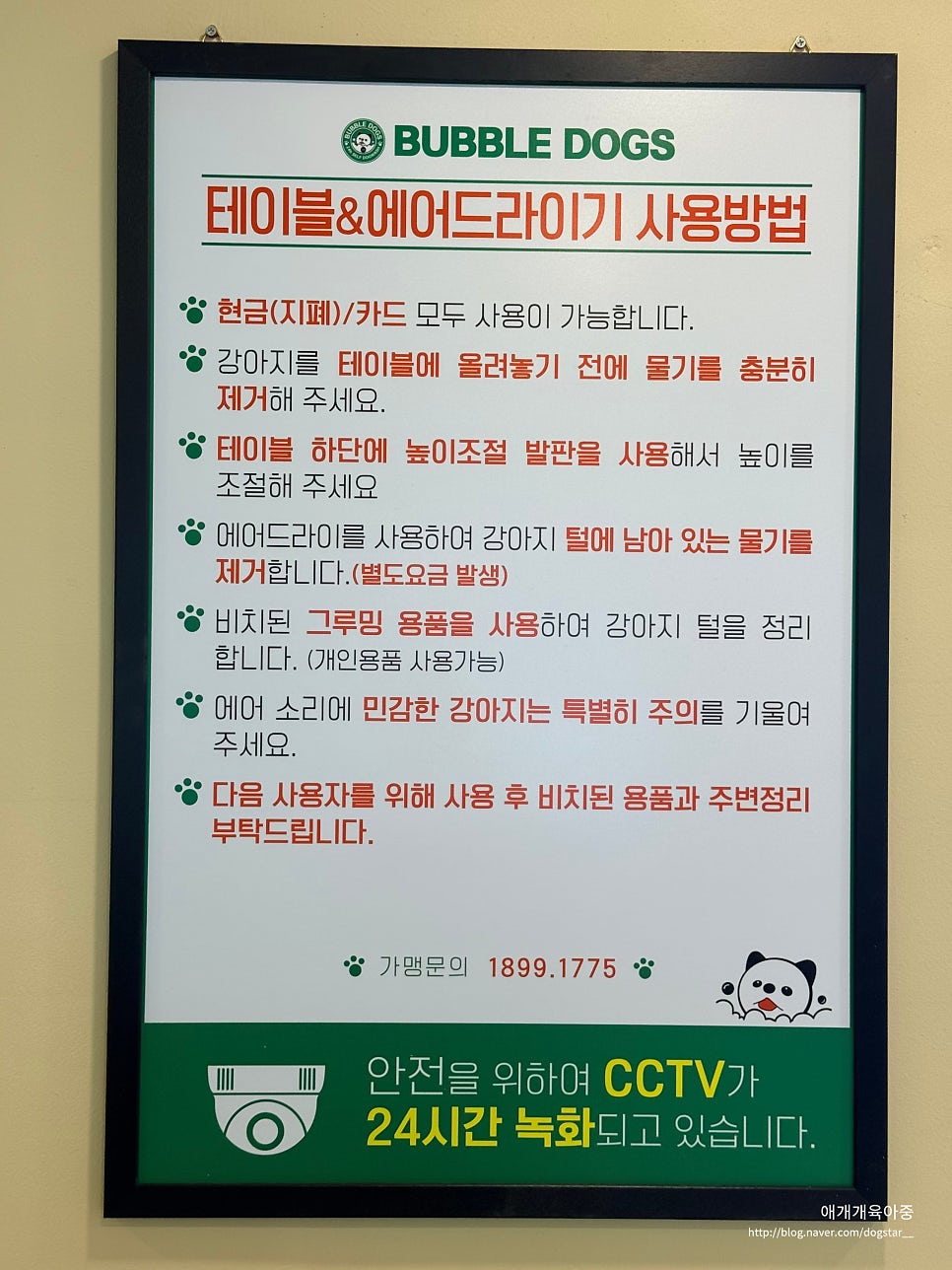 인천 셀프 애견 목욕 24시간 버블독스 이용 후기 — 사진 15