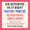 강동 강아지 미용학원: 국비지원부터 실무 커리큘럼까지