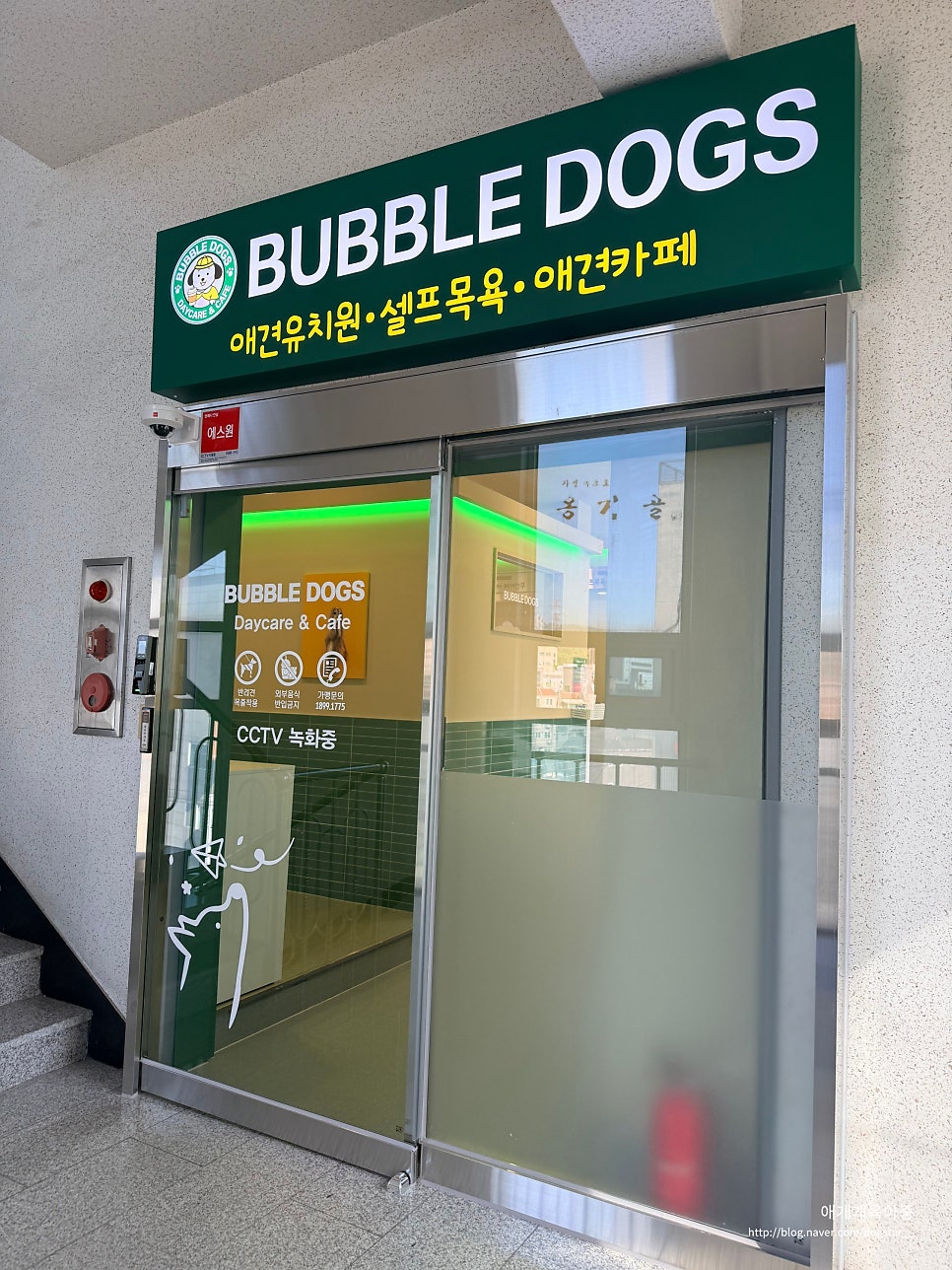 인천 셀프 애견 목욕 24시간 버블독스 이용 후기