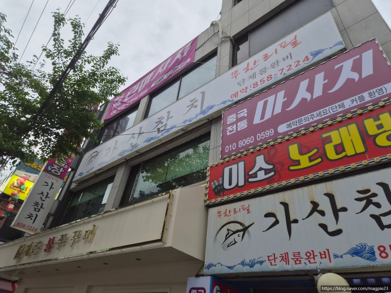 가산참치 사진 8