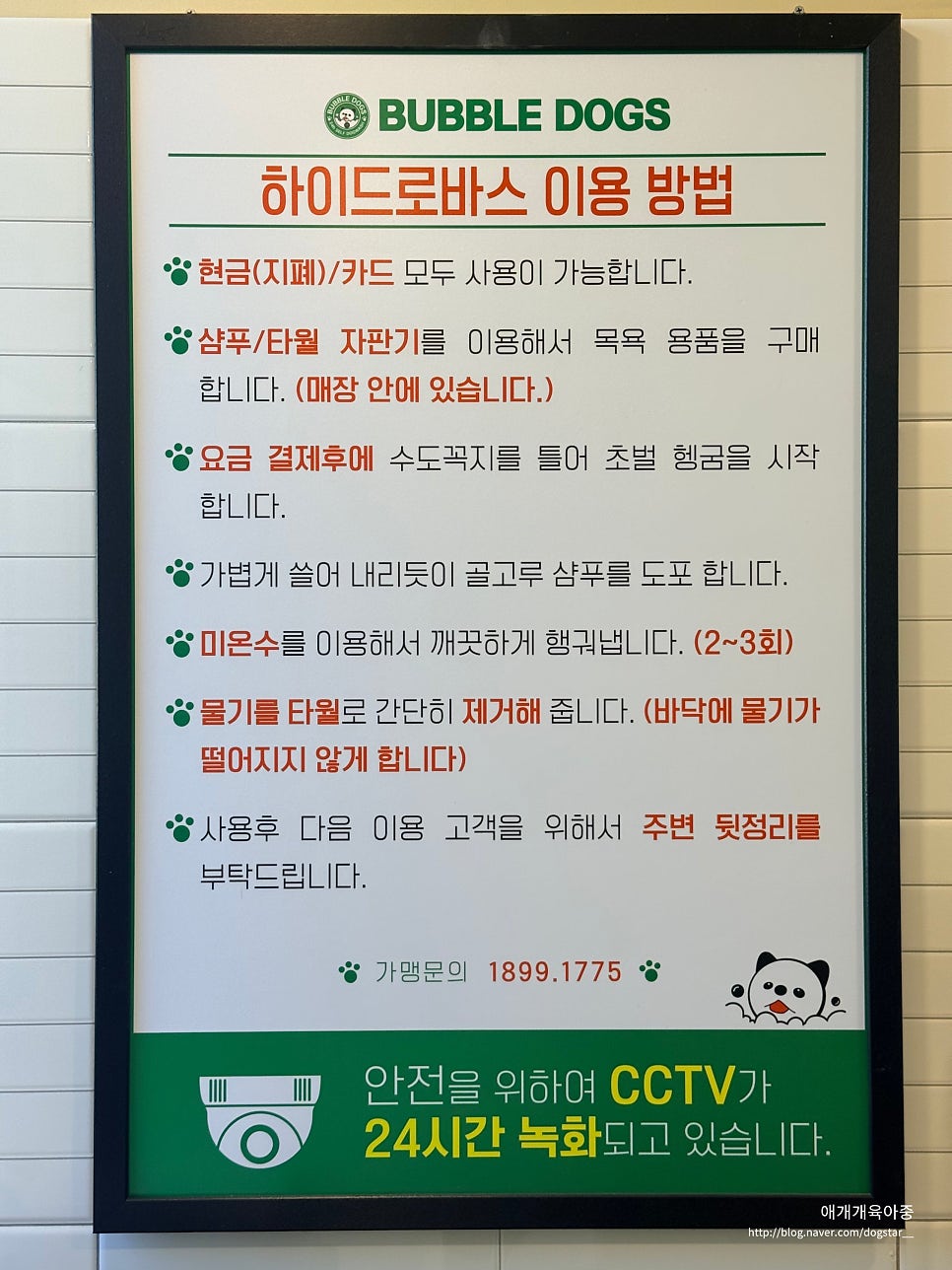 인천 셀프 애견 목욕 24시간 버블독스 이용 후기 — 사진 14