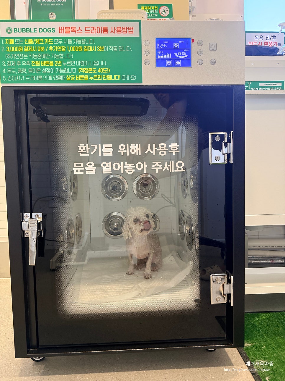 인천 셀프 애견 목욕 24시간 버블독스 이용 후기 — 사진 16