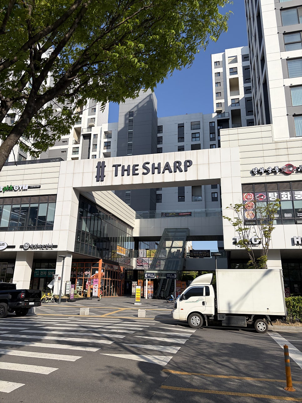 송도 애견동반 카페 사일런트, 분위기 좋은 곳 내돈내산 후기 — 사진 2