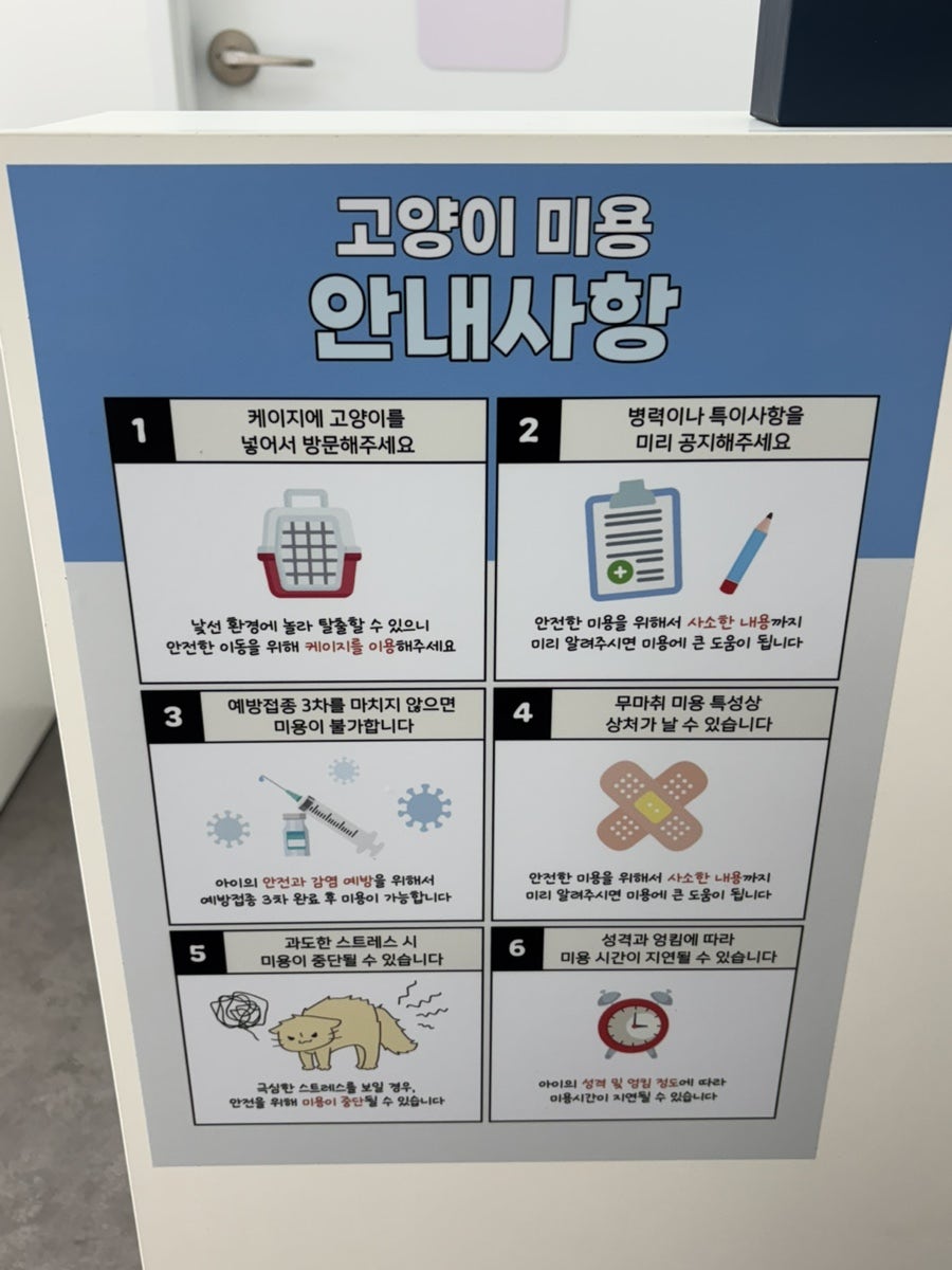 도봉구 고양이 무마취 미용, 캣컷 솔직 후기 — 사진 9