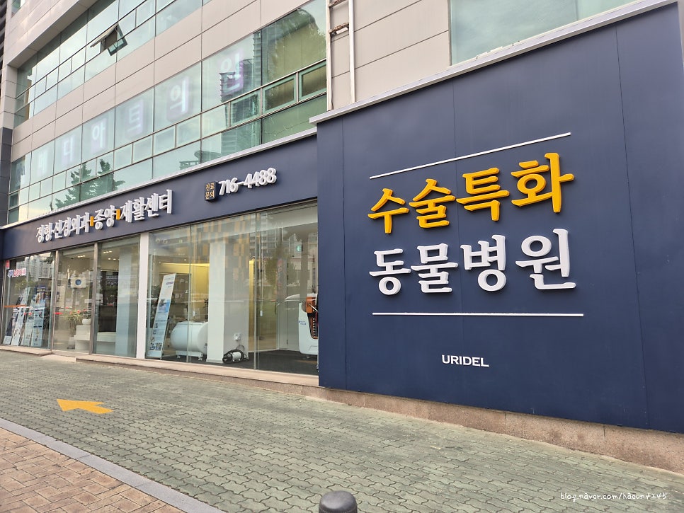 대구 우리들외과동물의료센터 강아지 정형외과 검진 후기 — 사진 6